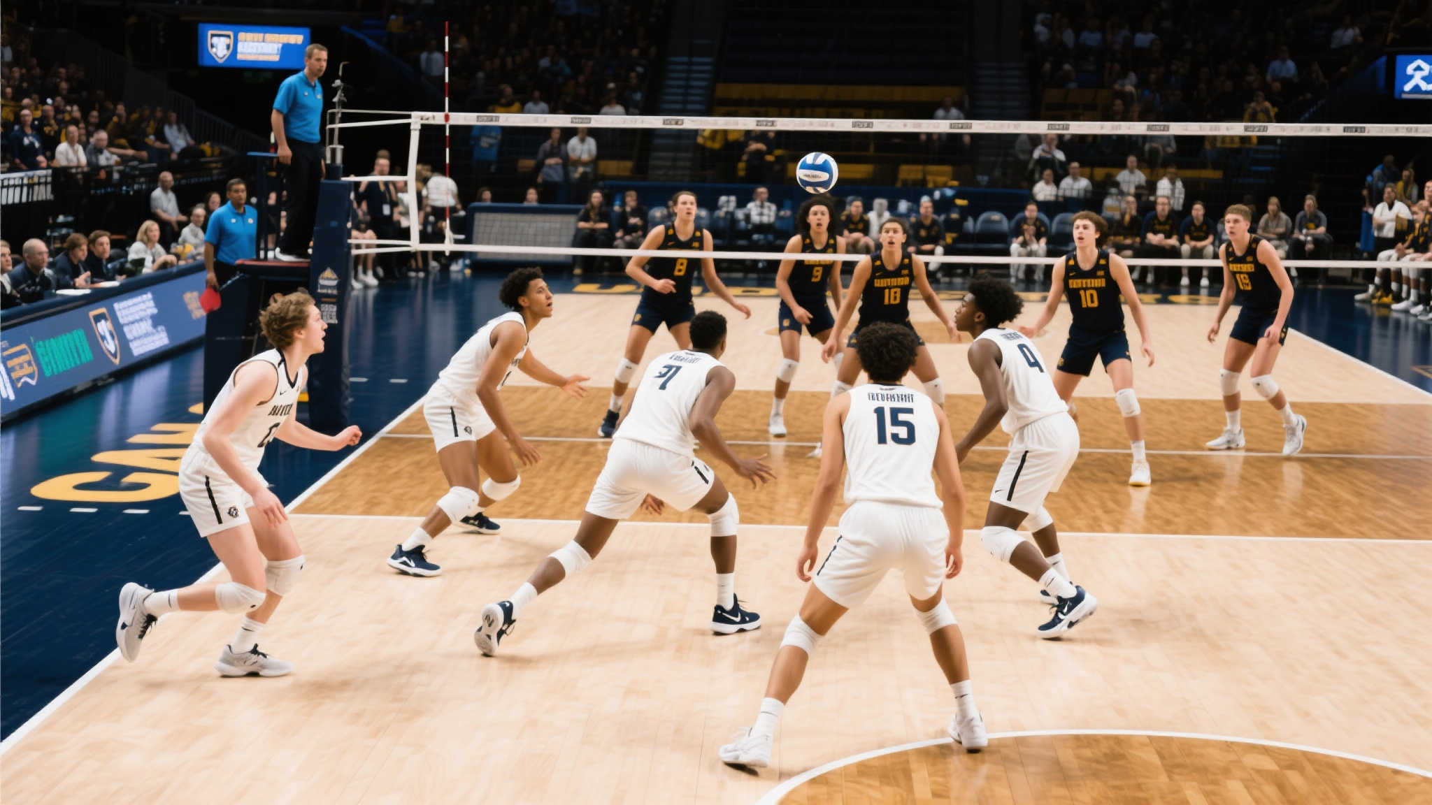 欧洲冠军联赛平台网页版入口